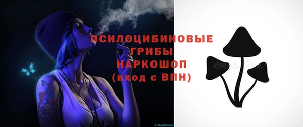 ECSTASY Алзамай
