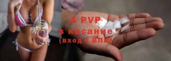 ECSTASY Алзамай