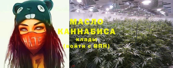 ECSTASY Алзамай