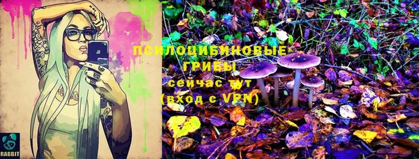 бошки Алексин