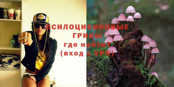 бошки Алексин