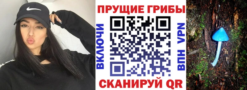 Псилоцибиновые грибы Cubensis  дарнет шоп  Катайск 